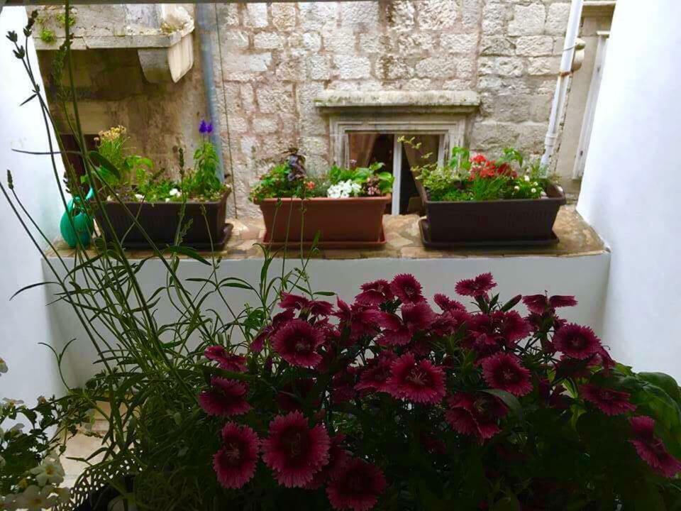 Puntin Rooms Sobe كورتْشولا المظهر الخارجي الصورة